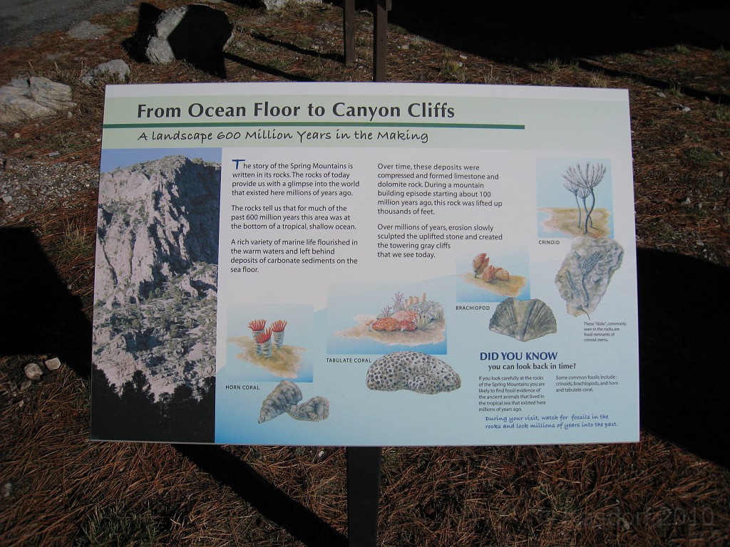 Las Vegas 2010 - Mt Charleston 0051.JPG - The 2010 Las Vegas Fire - Ice and Sweat Tour. Half Marathon, Red Rock Canyon, Casinos, Valley of Fire.... and buffets!